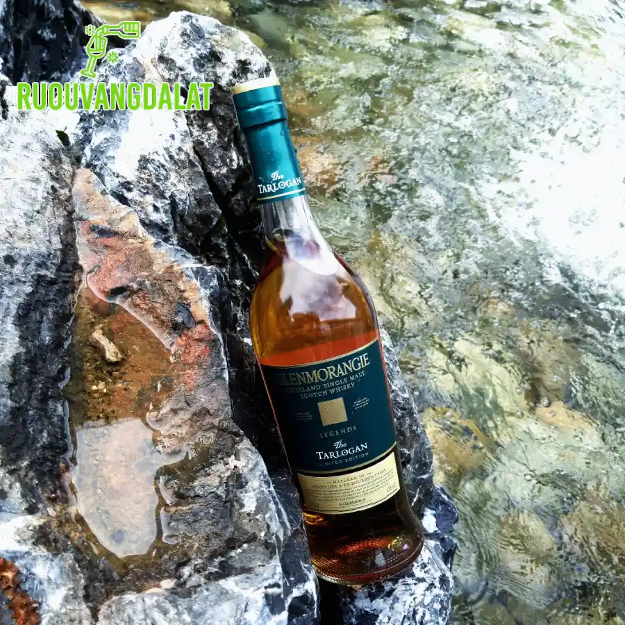 Giới thiệu về rượu Glenmorangie Tarlogan